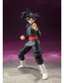 tamashii nations goku black